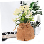 Zerodeko Realistic Faux Phalaenopsis Orchid with Pot Simulation Potted Flower for Living Office Bedroom Decor Creative Artificial Bonsai Home and Festival