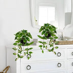 Briful Small Fake Plants Indoor (Set of 2) Realistic Faux Trailing Plant Artificial Potted Plants in Black Pot Pink N' Joy Leaf Houseplant for Living Room Table Kitchen Counter Shelf
