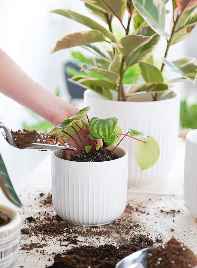 LE TAUCI Fluted Ceramic Planters, 8.3/7/6 Inch Indoor Pots for Plants with Drainage Holes & Mesh, Modern Matte Glaze Cylinder Plant Pot for Snake Plant, Set of 3, White