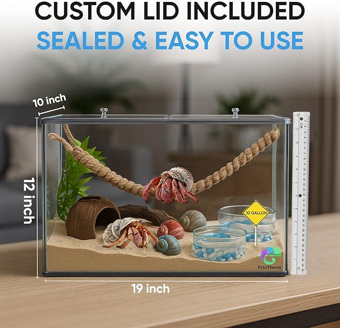 EctoTherm Hermit Crab Tank - 10 Gallon Tank with Lid - Complete Hermit Crab Cage for Large & Small Crabs - Glass Tank