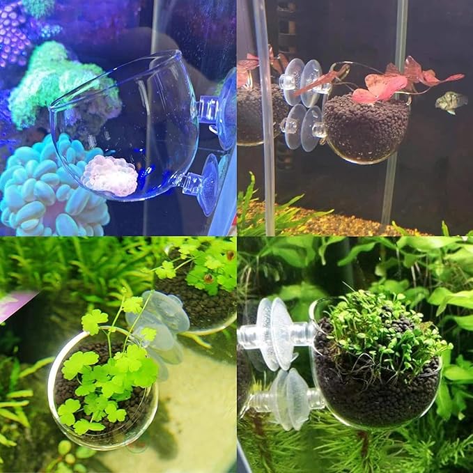 4 Pcs Aquarium Plant Pot Planter, Glass Fish Tank Plants Holder, Aquarium Decoration Plant Cup with Suction Cups for Fishes Tank Ornament Aquarium Décor Plastic Plants Fish and Aquatic Pets