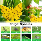 58 Pack Yellow Sticky Gnat Traps for Plants - Fungus Gnat Killer, Fruit Fly Traps for Indoors, Gnat Sticky Traps for Plants, Non-Toxic Kid and Pet Safe, Sunflower + Butterfly Shapes