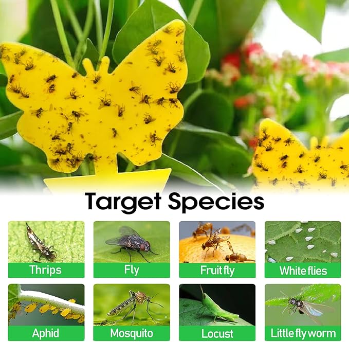 58 Pack Yellow Sticky Gnat Traps for Plants - Fungus Gnat Killer, Fruit Fly Traps for Indoors, Gnat Sticky Traps for Plants, Non-Toxic Kid and Pet Safe, Sunflower + Butterfly Shapes