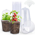 homenote Clear Nursery Pots for Plants,5 Inch Plant Pot for Planting with Humidity Domes Plastic Seedling with Drainage Holes Seed Starter Flower High Transparency (15 Pack)