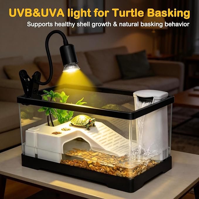 Large Turtle Tank Kit,All in One Red Eared Slider Aquarium,PC Aquatic for Baby Tortoise,Fishes and Amphibians, Includes Silent Filter,Filter Plates,UVB Lamp,Bulb,Plants,Stone,Basking Platform