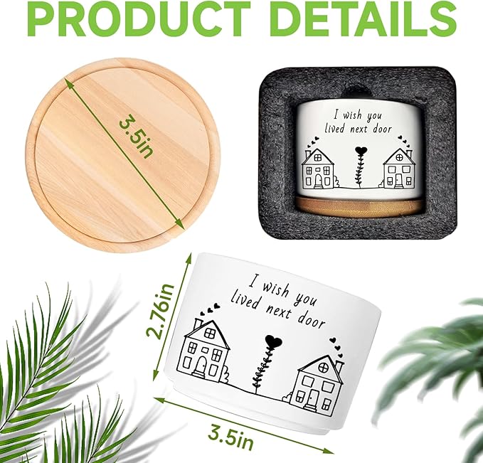 Friend Gifts for Women, I Wish You Lived Next Door, Cute Succulent Plant Pot, Flower Planter, Friendship Long Distance Relationship Gifts for Women Best Friend (Plants Not Included)