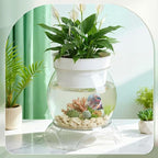 Geelin 1 Gallon Plastic Aquaponic Betta Fish Tank Aquaponic with Base and Top, Large Bowl Shatterproof Ecosystem Aquarium with Clear Clarity for Terrarium, Flower Vase Betta Fish Centerpiece Gifts