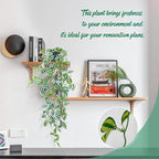 LOYWREE 2 Pack Fake Hanging Plants - Small Potted Plants with Green Eyebrow-Leaf Trailing Vines, Indoor Outdoor Aesthetic Decor for Office, Living Room Shelf & Home Accent (Black Pot)