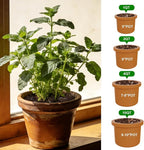 Organic Potting Soil Mix for Indoor Plants & Herb Gardens 2qt- All-Purpose Nutrient-Rich Natural Soil