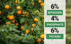 Gardenwise 6-4-6 Avocado and Citrus Tree Professional Fertilizer Plant Food for Outdoor/Indoor Gardening; Quick-Release Nitrogen Fertilizer; Orange, Lime, Avocado and Lemon Tree Fertilizer (20 QUARTS)