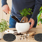 50 Pcs 2.1" Plant Pot Mesh Round Hole Cover, 55mm Black Plant Pot Drainage Mesh Discs Bottom Liners for Bonsai/Flower Pots, Soil Retention Grid Mats