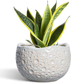 Ceramic Pots for Plants - 8 Inch Planters for Indoor Outdoor Plants, Modern Ceramic Flower Pots with Drainage Hole and Plug, Round Unique Plant Pot, Porch Office Decor, Garden Gifts, Grey