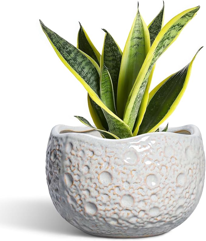 Ceramic Pots for Plants - 8 Inch Planters for Indoor Outdoor Plants, Modern Ceramic Flower Pots with Drainage Hole and Plug, Round Unique Plant Pot, Porch Office Decor, Garden Gifts, Grey