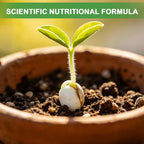 Organic Seed Starter Soil and Potting Mix 2qt ，100% Natural,Promotes Rapid Rooting & Germination