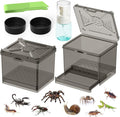 Spider Habitat Kit - Ready-to-Use Box for Small Insects,Dubia Roach, Cockroaches, Crickets, Scorpions, Centipedes, Mantises & Snails 3.74''x3.15''x3.35''(No Assembly Needed)