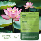 60 PCS Lotus Seeds for Planting in Water - Mixed Color Bowl Lotus Seeds, Non-GMO Aquatic Plant Water Lily Seeds for Indoor Bonsai, Outdoor Ponds & Garden