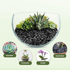 Horticultural Charcoal 4qt for Plants, Actived Charcoal Terrarium Supplies, Suitable for Indoor Plants, Succulent, Orchid, Cactus, Bonsai