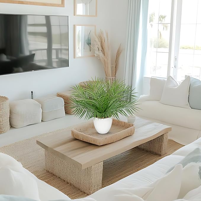 Briful Artificial Palm Plant in White Pot, 18” Faux Tropical Tabletop Plant with 14 Realistic Leaves, Small Potted Palm Tree for Farmhouse, Coffee Table, Entryway, Bathroom, Shelf & Living Room Decor
