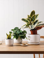 LE TAUCI Ceramic Plant Pots, 4.3+5.3+6.8 inch, Set of 3, Planters with Drainage Hole and Saucer, Indoor Flower Pot with Hole Mesh Pad, Gifts for Mom, White