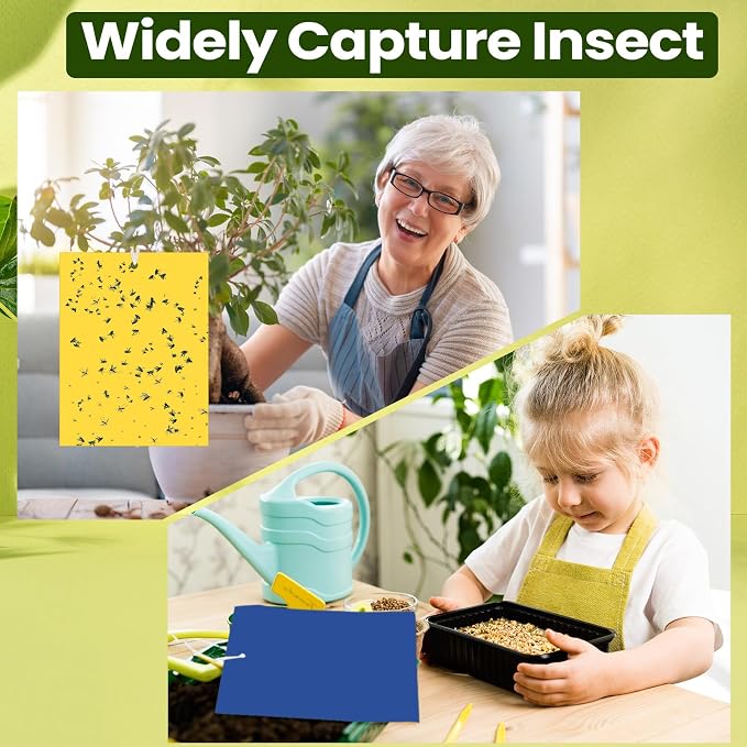 Qualirey 100 Pcs 6 x 8 Inch Sticky Traps for Plant Double Sided Sticky Trap for Gnats with Twist Ties Fly Traps for Fruit Insect Fungus Bugs Indoor Outdoor (Yellow,Blue)
