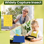 Qualirey 100 Pcs 6 x 8 Inch Sticky Traps for Plant Double Sided Sticky Trap for Gnats with Twist Ties Fly Traps for Fruit Insect Fungus Bugs Indoor Outdoor (Yellow,Blue)