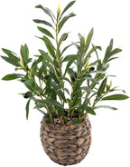 17.7" Small Boho Artificial Olive Plant, Faux Greenery in Brown Handwoven Rattan Basket, Ideal for Office Desk Kitchen Shelf Home Decor