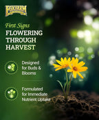 FoxFarm Tiger Bloom Liquid Plant Food - Phosphorus Fertilizer for Buds, Blooms & Flowering - Supports Soil & Hydroponic Systems - High Micronutrient Formula with 2-8-4 Nutrient Ratio - 1 Gallon
