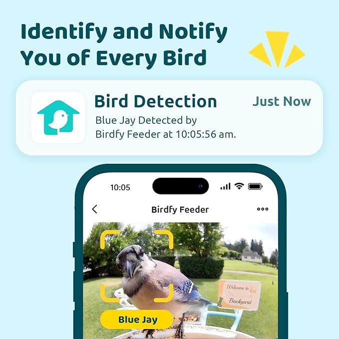 NETVUE by Birdfy Smart Bird Feeder with 2K AI Camera Solar Powered, 3MP Wireless Wildbird Watching, Live Stream & Night Vision, Auto-Capture & Notify, Collection & Cloud Storage (AI by Subscription)