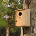2 Pack Bird Houses for Outside, Wooden Birdhouse Kit with Front Clean-Out Door, Solid Wood Outdoor Nesting Box for Backyard Birdwatching