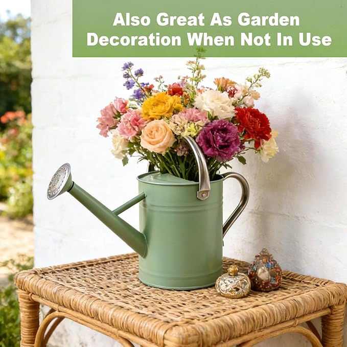 Watering Can for Outdoor&Indoor Plants，1 Gallon Metal Watering Can with with Removable Spout，Galvanized Steel Garden Flower Water Can Plant Watering Pot with 2 Stainless Steel Handles，Cream Green