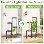 iDavosic.ly Plant Stand Indoor Outdoor, 5 Tier Corner Metal Flower Display Holder Shelf, Folding Tall Orchid Rack for Patio Balcony Porch Garden Living Room House, Wrought Iron - Modern Black