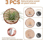 Magnetic Air Plant Holder, Natural Wood Slices Refrigerator Magnet Live Air Plant Holders, Modern Farmhouse Wall Decor for Living Room Bedroom Kitchen Office Home Garden (3 Pack)