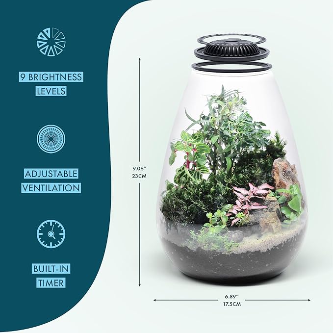 SubstrateSource Bio Cylinder - Glass Plant Terrarium Kit - Glass Terrarium w/LED Grow Light, Adjustable Ventilation Lid, Substrate, Moss & Accent Rocks - Bio Bowl 175