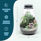 SubstrateSource Bio Cylinder - Glass Plant Terrarium Kit - Glass Terrarium w/LED Grow Light, Adjustable Ventilation Lid, Substrate, Moss & Accent Rocks - Bio Bowl 175