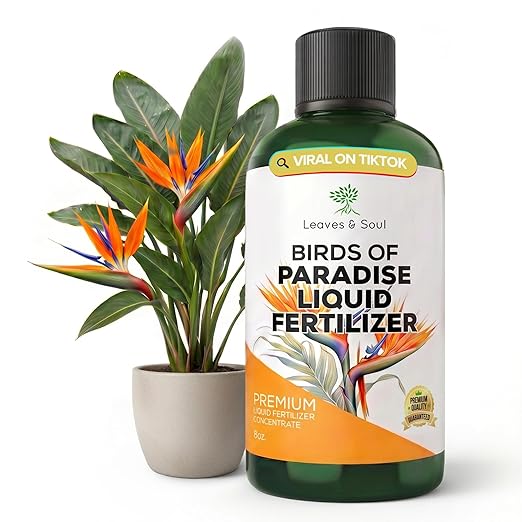 Professional Bird of Paradise Fertilizer Liquid 3-1-2 Concentrate 8 oz, Premium Plant Food for Indoor Bird of Paradise Plants, Liquid Fertilizer for Houseplants, Made in USA