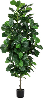 Fiddle Leaf Fig Tree 7ft Tall Artificial Tree in Plastic Pot Fake Ficus Lyrata Plants with 184 Decorative Fiddle Leaves Faux Fig Trees for Home Office Living Room Decor Indoor Outdoor