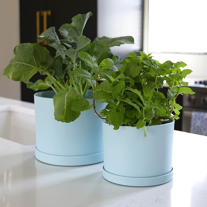 Bloem Mathers 8" Misty Blue Round Modern Resin Garden Planter Pot with Drainage Holes and Removable Saucer Tray Included