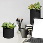 Winlyn Set of 3 Artificial Plants Decor Greenery Fake Succulents Indoor Potted Fake Plant with Black Planter for Farmhouse Room Bathroom Bedroom Kitchen Office Table Desk Decor