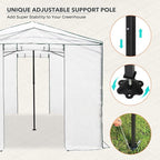 EAGLE PEAK 12x8 Portable Walk in Greenhouse, Pop Up Indoor Outdoor Greenhouse, Green House Kit with Zippered Roll-Up Doors, Windows + Support Pole, Woven Cover, Translucent