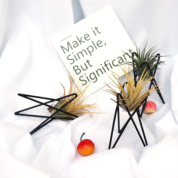 Pack of 4 Air Plant Holder Tillandsia Base, Modern Geometric Metal Air Plant Stand Airplant Display Rack, Tabletop Big Streptophylla Plant Display Table Hand for Home Office Decoration Supplies