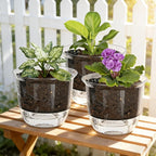 Self Watering Pots, 3 Pack 5 Inch Clear Plant Pot Self Watering Planter Flowers Pot with Deep Reservoir for Indoor Plants (3 Medium)