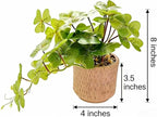 Hanging Clover Leaf Faux Plant 9'' Cascading Artificial Greenery in Rustic Diamond Textured Pot Lifelike Indoor Fake Plant for Farmhouse Kitchen, Entryway, or Bookshelf