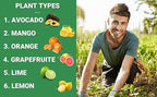 Gardenwise 6-4-6 Avocado and Citrus Tree Professional Fertilizer Plant Food for Outdoor/Indoor Gardening; Quick-Release Nitrogen Fertilizer; Orange, Lime, Avocado and Lemon Tree Fertilizer (10 QUARTS)