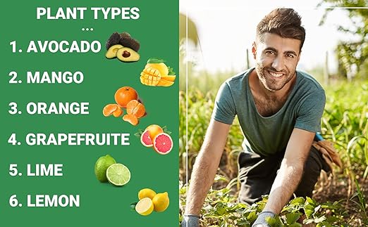 Gardenwise 6-4-6 Avocado and Citrus Tree Professional Fertilizer Plant Food for Outdoor/Indoor Gardening; Quick-Release Nitrogen Fertilizer; Orange, Lime, Avocado and Lemon Tree Fertilizer (5 QUARTS)