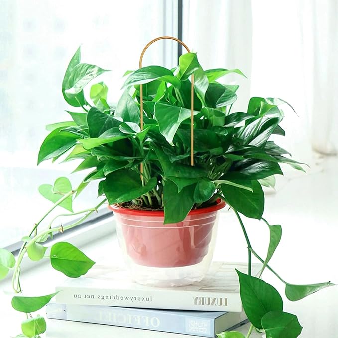5PCS Gold Metal Trellis for Potted Plants, Plant Support Stake for Climbing Plants Indoor, Small Plant Support for Garden Indoor Houseplant, Flower Orchids Monstera Hoya Pothos Philodendron