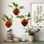 Wall Hanging Planter Propagation Station for Indoor Plants Glass Vase Air Plant Holder Gift for Women Girlfriend Plant Lover