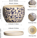SQOWL Ceramic Flower Pots - 6 Inch Plant Pot Indoor with Drainage Hole and Saucer, Porcelain Ceramic Planter Outdoor, Decorative Round Small Planter, House Decor, Plant Lover Gifts, Blue and Beige