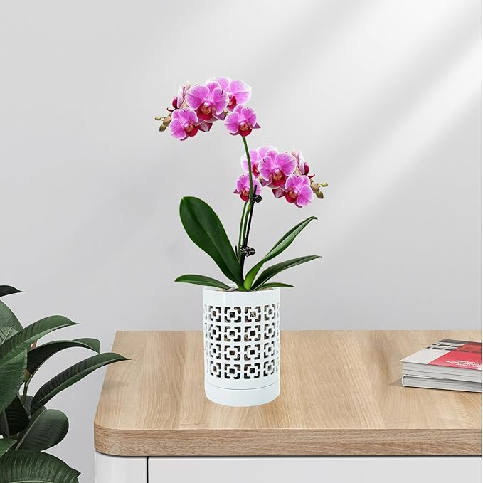 Orchid Pots with Holes 4 Inch, Ceramic Orchid Pot for Repotting with Saucers,More Ventilation Hole Easy Breathing, Plant Pot for Repotting Orchids and Other Flowers - Indoor/Outdoor White