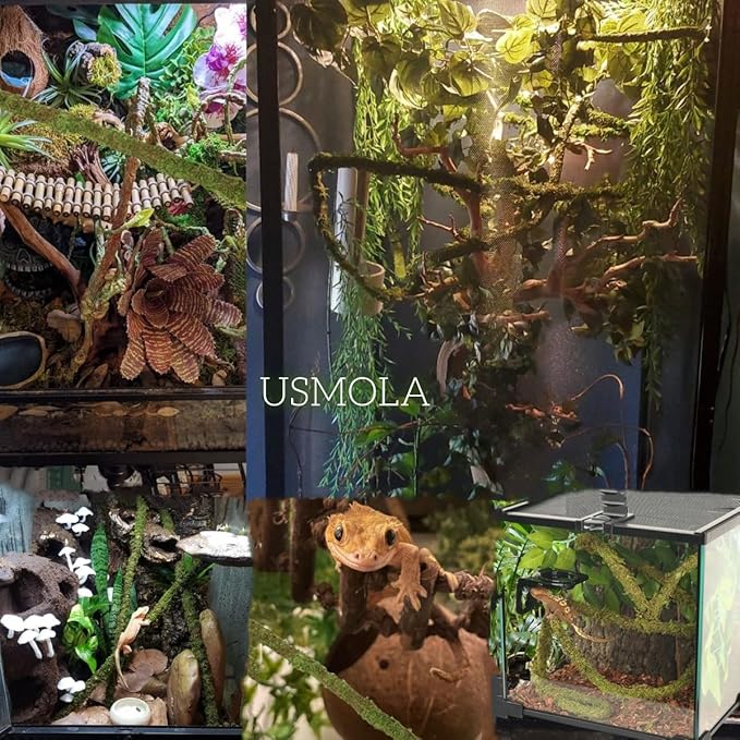 USMOLA Moss Vine for Reptiles, Bendable Climbing Vines Reptile Tank Accessories, Natural Moss Rope for Leopard Gecko, Lizard, Snake, Chameleon, Frog Terrarium Decor (Jungle Green, 6.5 FT)