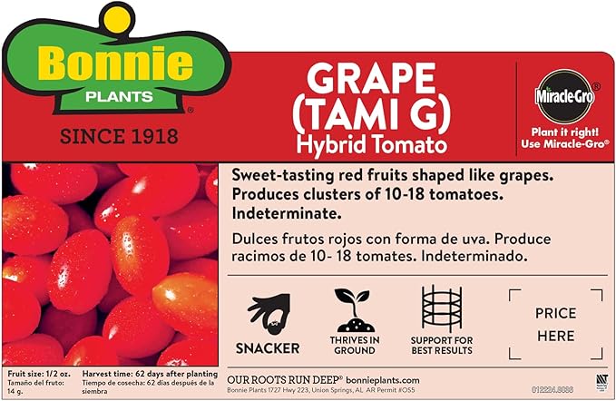 Bonnie Plants Grape Tomato 19.3 oz. 4 Pack
